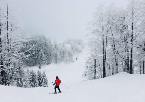 skiing-2022-11-15-13-06-09-utc